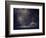 Inner Life-Petr Strnad-Framed Photographic Print