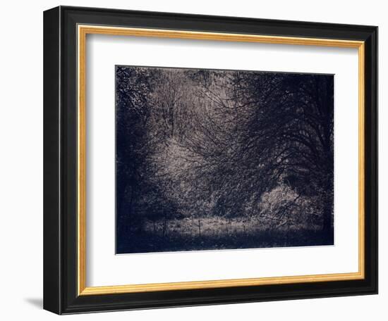 Inner Life-Petr Strnad-Framed Photographic Print