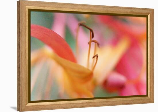 Inner Silence-Jacob Berghoef-Framed Premier Image Canvas