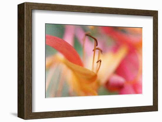 Inner Silence-Jacob Berghoef-Framed Photographic Print