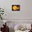 Inner Solar System, Artwork-Henning Dalhoff-Framed Premier Image Canvas displayed on a wall