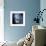 Inner Solar System, Artwork-Detlev Van Ravenswaay-Framed Premium Photographic Print displayed on a wall