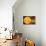 Inner Solar System, Artwork-Henning Dalhoff-Photographic Print displayed on a wall