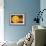 Inner Solar System, Artwork-Henning Dalhoff-Framed Photographic Print displayed on a wall