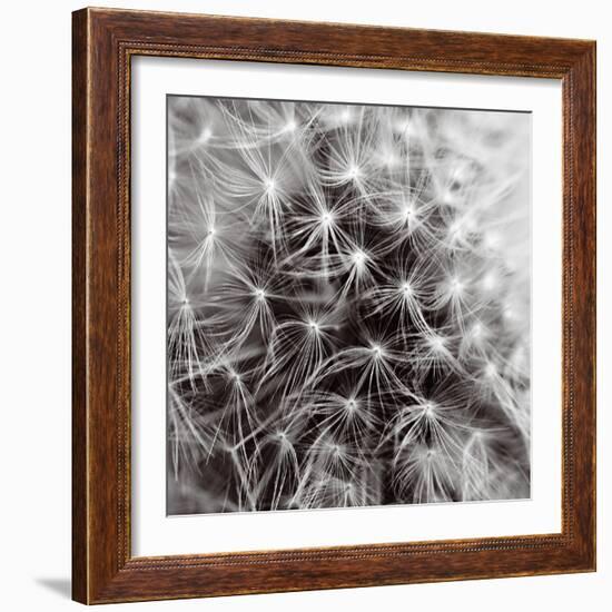 Inner Space-Joseph Eta-Framed Giclee Print