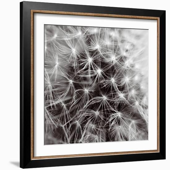 Inner Space-Joseph Eta-Framed Giclee Print