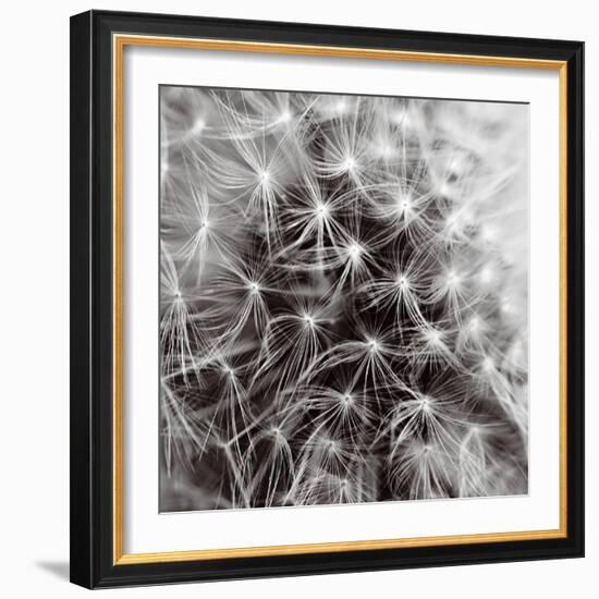 Inner Space-Joseph Eta-Framed Giclee Print