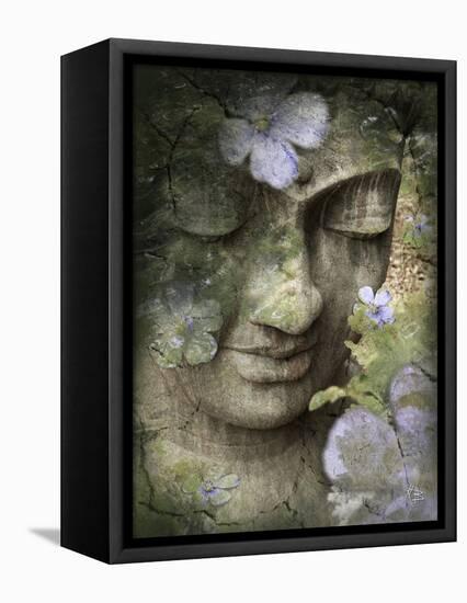 Inner Tranquility-Fusion Idol Arts-Framed Premier Image Canvas