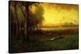 Stretched Canvas Print