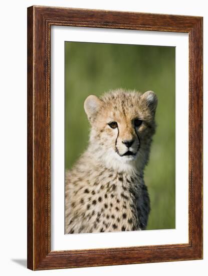 Innocence Renewed-Susann Parker-Framed Photographic Print