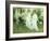 Innocence-Arthur Hacker-Framed Giclee Print