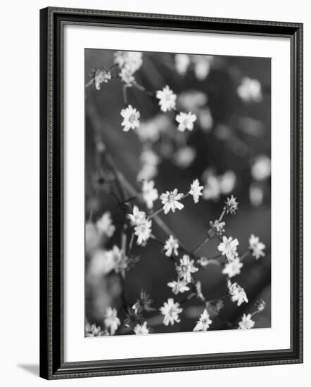 Innodrive-Jim Crotty-Framed Photographic Print