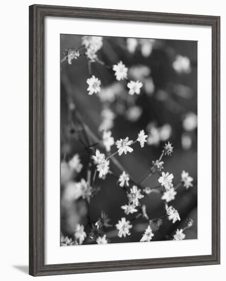 Innodrive-Jim Crotty-Framed Photographic Print