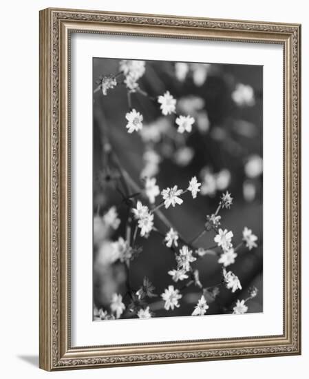 Innodrive-Jim Crotty-Framed Photographic Print