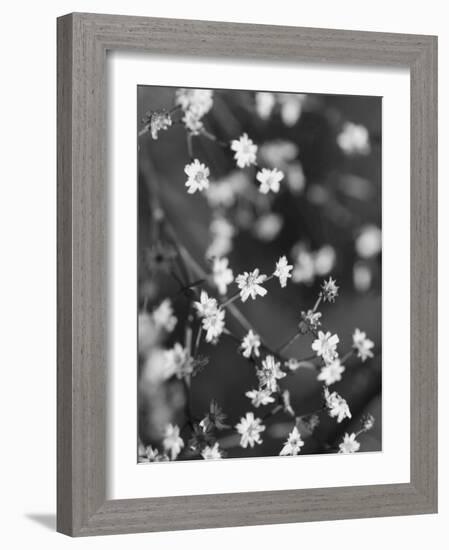 Innodrive-Jim Crotty-Framed Photographic Print