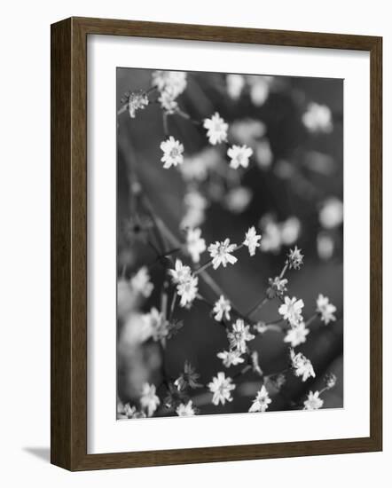 Innodrive-Jim Crotty-Framed Photographic Print