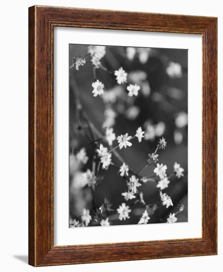 Innodrive-Jim Crotty-Framed Photographic Print