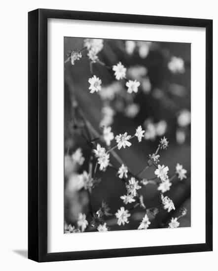 Innodrive-Jim Crotty-Framed Photographic Print