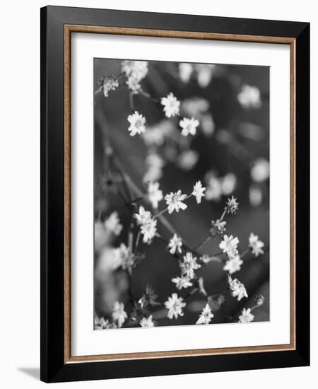 Innodrive-Jim Crotty-Framed Photographic Print