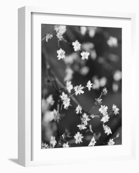 Innodrive-Jim Crotty-Framed Photographic Print