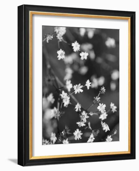 Innodrive-Jim Crotty-Framed Photographic Print