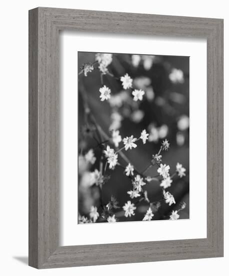 Innodrive-Jim Crotty-Framed Photographic Print