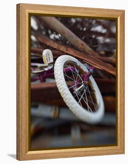 Innolinks-Jim Crotty-Framed Premier Image Canvas