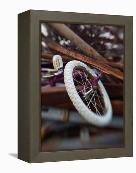 Innolinks-Jim Crotty-Framed Premier Image Canvas