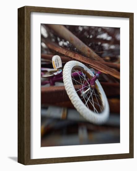 Innolinks-Jim Crotty-Framed Photographic Print