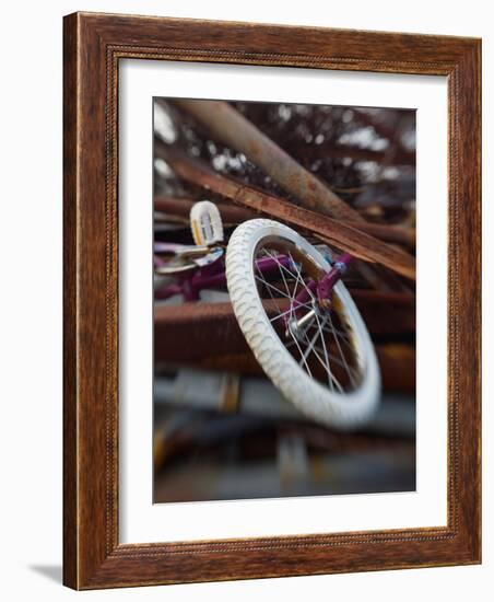 Innolinks-Jim Crotty-Framed Photographic Print