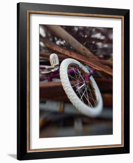 Innolinks-Jim Crotty-Framed Photographic Print