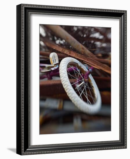 Innolinks-Jim Crotty-Framed Photographic Print