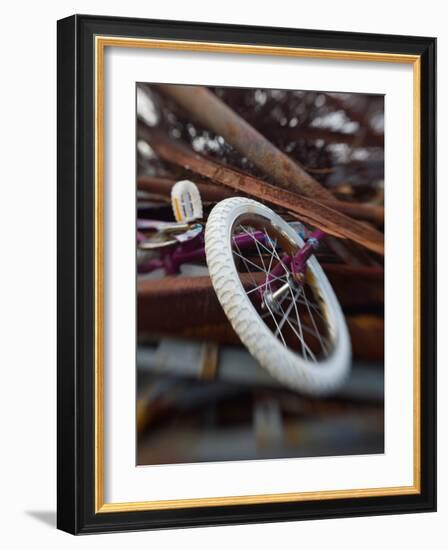 Innolinks-Jim Crotty-Framed Photographic Print