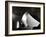 Innopoint-Sharon Wish-Framed Photographic Print