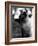 Inquisitive Siamese-Thomas Fall-Framed Photographic Print