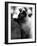 Inquisitive Siamese-Thomas Fall-Framed Photographic Print