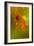 Insect Fossilised In Amber-Vaughan Fleming-Framed Photographic Print