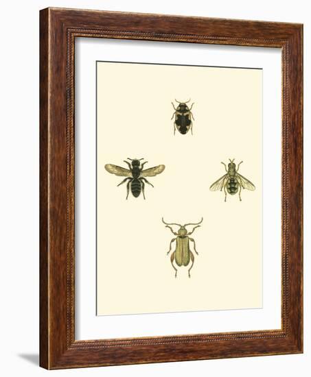 Insecte II-Vision Studio-Framed Art Print