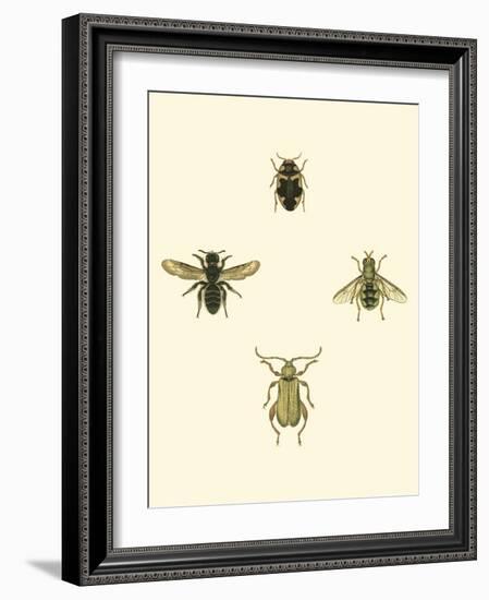 Insecte II-Vision Studio-Framed Art Print