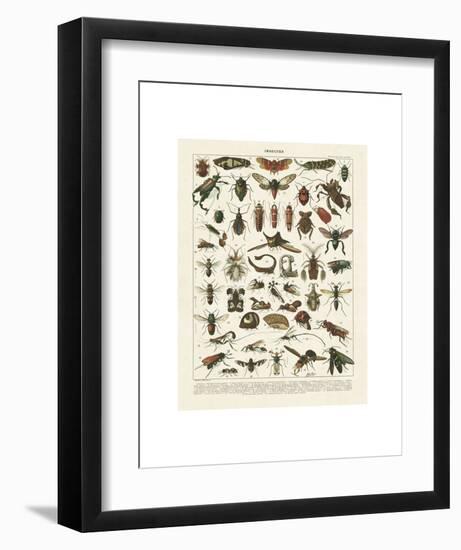 Insectes I-Adolphe Millot-Framed Art Print