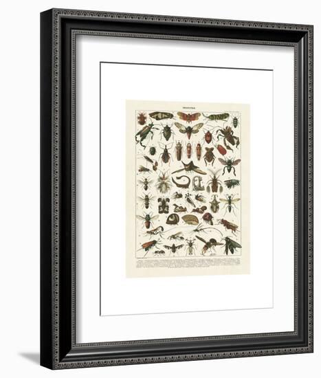 Insectes I-Adolphe Millot-Framed Art Print