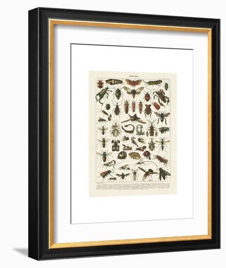 Insectes I-Adolphe Millot-Framed Art Print