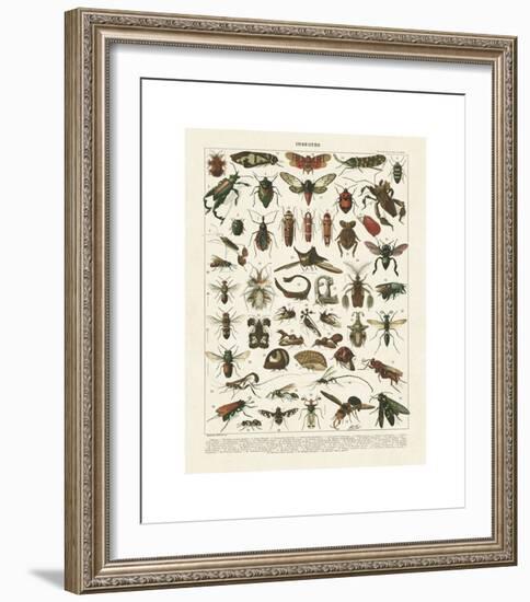 Insectes I-Adolphe Millot-Framed Giclee Print