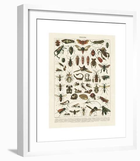 Insectes I-Adolphe Millot-Framed Giclee Print