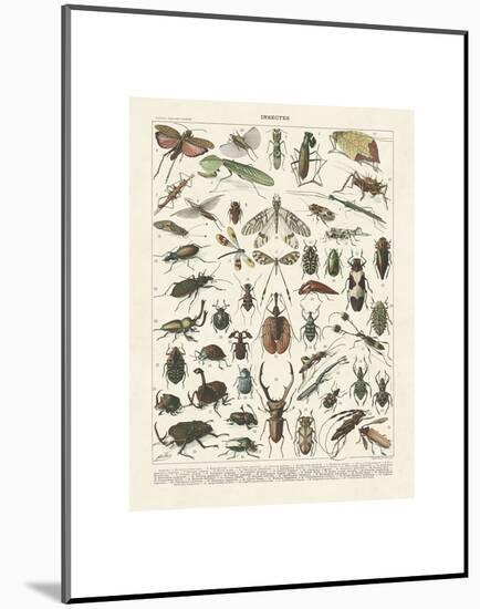 Insectes II-Adolphe Millot-Mounted Art Print