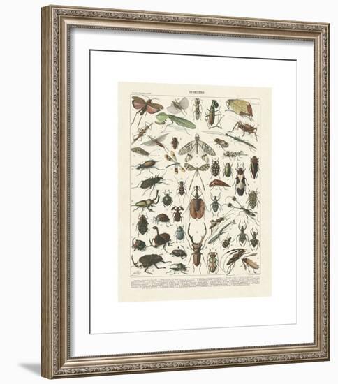 Insectes II-Adolphe Millot-Framed Giclee Print