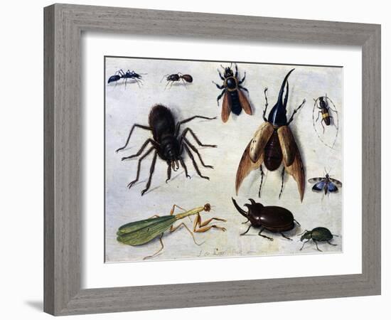 Insects, 1660-Jan van Kessel the Elder-Framed Giclee Print