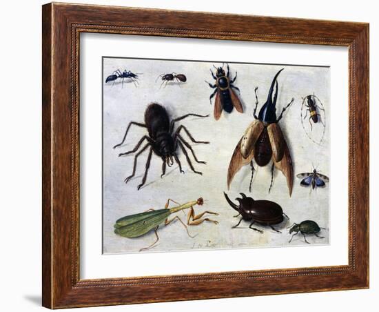 Insects, 1660-Jan van Kessel the Elder-Framed Giclee Print