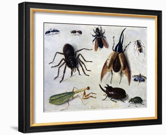 Insects, 1660-Jan van Kessel the Elder-Framed Giclee Print