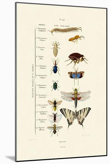 Insects, 1833-39-null-Mounted Giclee Print